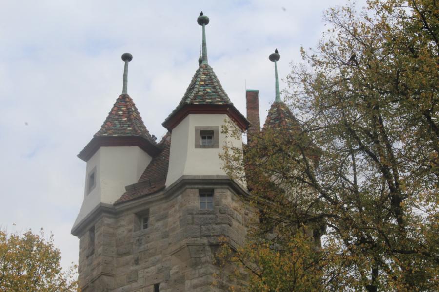 IMG 0218