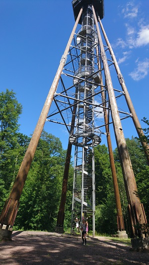 TMvorher1
