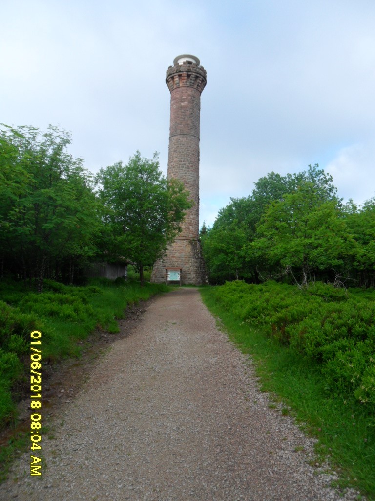 Bild1